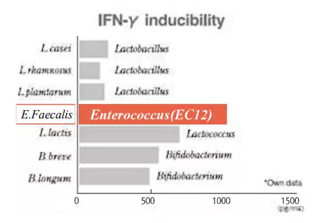 Qurelac Interferon Gamma Inducibility