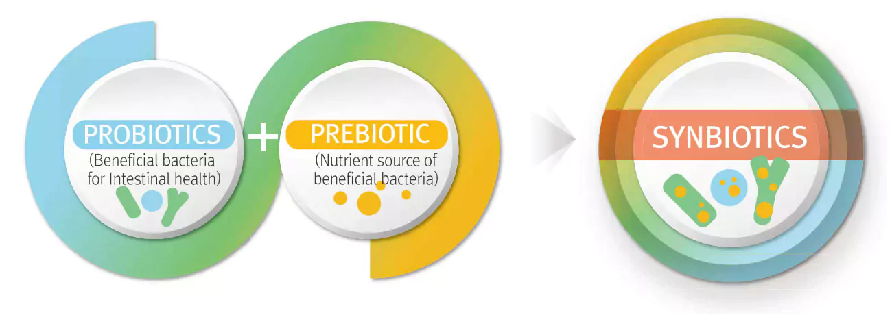 Qurelac Probiotics Prebiotics Synbiotics